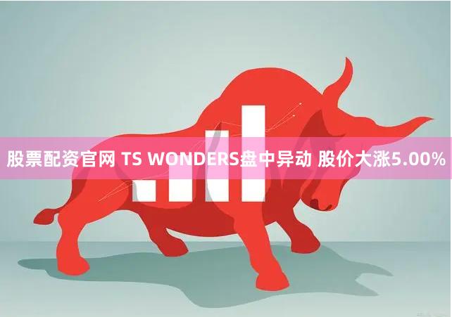 股票配资官网 TS WONDERS盘中异动 股价大涨5.00%